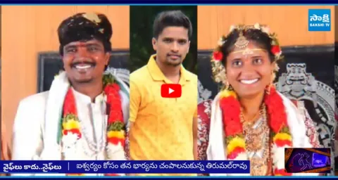  Illegal Affairs Collapse Families 2