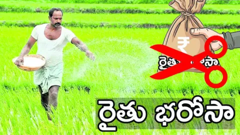 రైతు 
