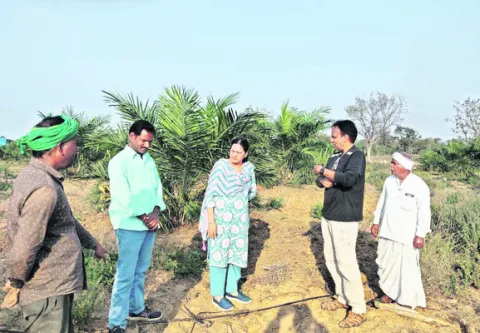 పెట్ట