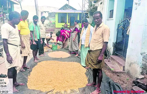 విత్త