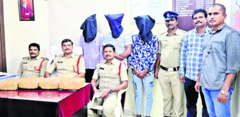 9 కిలోల గంజాయి పట్టివేత 
