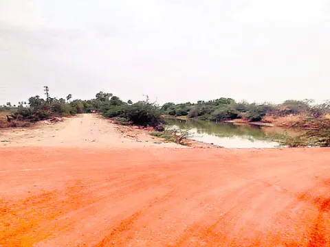 ‘కెనా