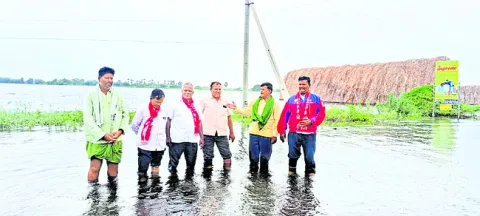 కావాల