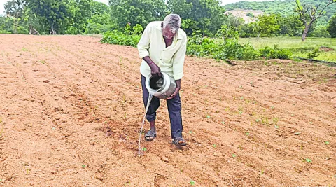 పలుచో