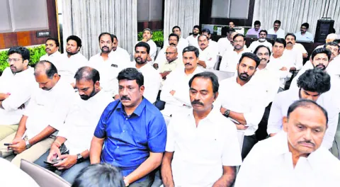 వైఎస్సార్‌సీపీ రాష్ట్ర విస్తృతస్థాయి సమావేశంలో జిల్లా న