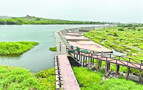 సింగూ