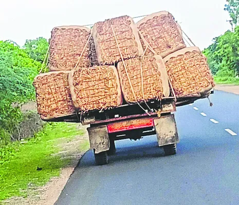 కోలుక