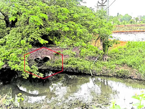 లెవల్‌ నిర్వహిస్తేనే.. 