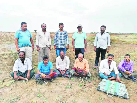 కోడి 