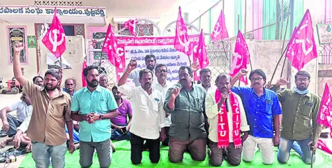 మామిడ