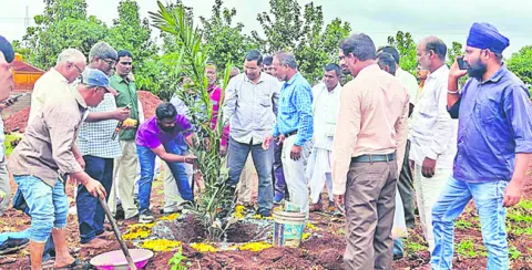 ఆయిల్‌పామ్‌తో వందశాతం భరోసా