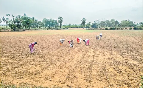 Farmers Worry With Rains in Telangana