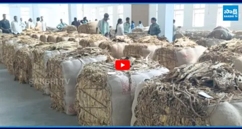 Tobacco Farmers Protest Against Chandrababu in Prakasam Maddipadu 1