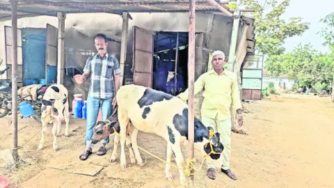 గోపాల