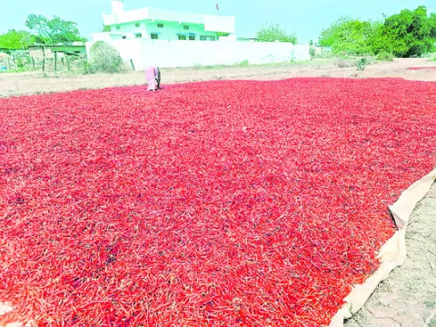 ఎర్ర 