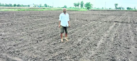 మొలకెత్తని సోయా విత్తనాలు 
