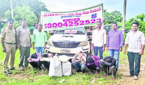 ఫార్చునర్‌ కారులో గంజాయి రవాణా!