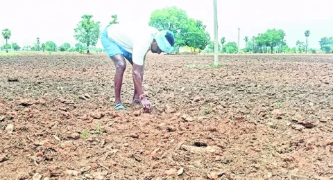 చినుక