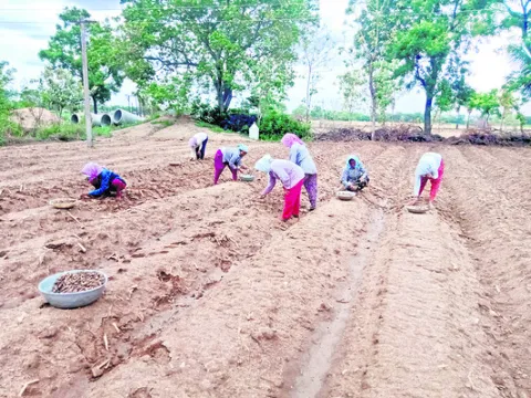 మోస్త