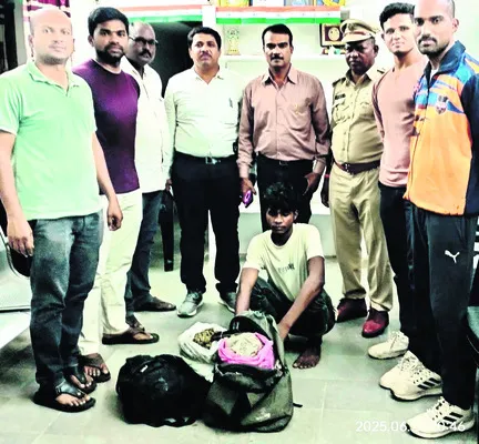 5.25 కిలోల గంజాయి పట్టివేత 