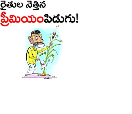 ఉచిత పంటల బీమాకు  మంగళం 

