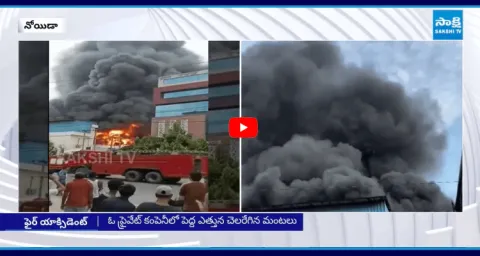 Massive Fire Incident In Private Company At Noida Uttar Pradesh 1