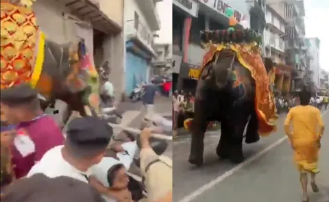 Elephants went out of control Ahmedabad Jagannath Rath Yatra4