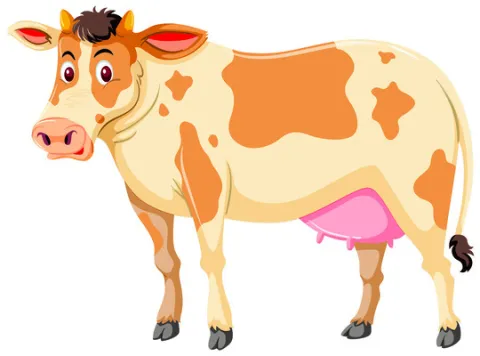 మూగ వ