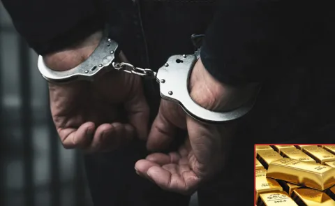 Gang of 9 held for duping banks by pledging fake gold