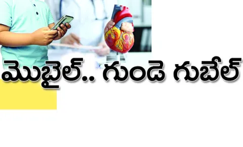 చాముం