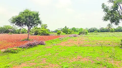 పరిహారం మెరుగు!