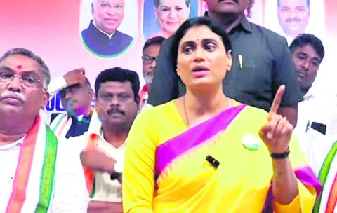 పోలవరాన్ని నిర్వీర్యం చేస్తున్నారు 