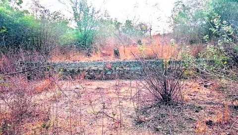 మండలాల వారీగా సమస్యలు ఇవీ..