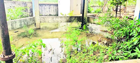 మిషన్