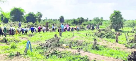 గిరిజనుల పోడు పోరు 