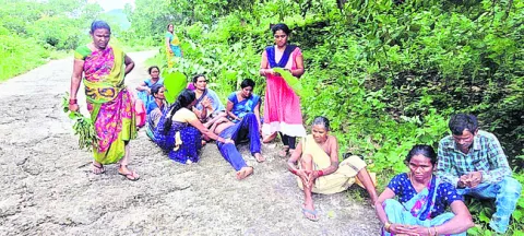 సిగ్న