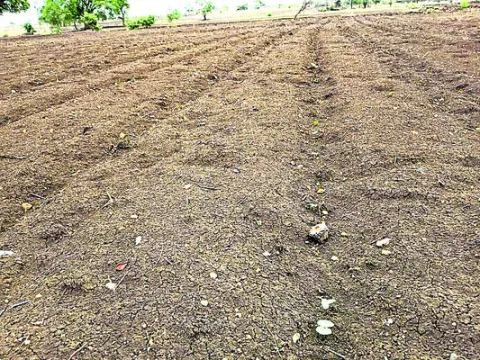 సాగు అగమ్యగోచరం 