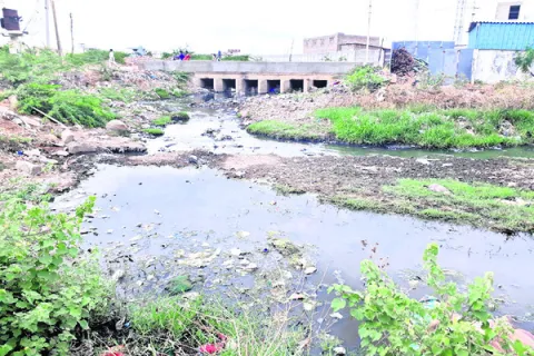 వామ్మ