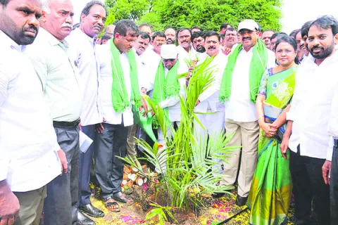 ఉద్యాన పంటలకు ప్రోత్సాహం