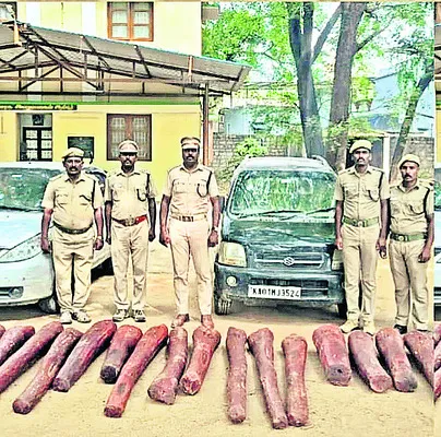 రూ.20 లక్షల విలువైన ఎర్రచందనం స్వాధీనం