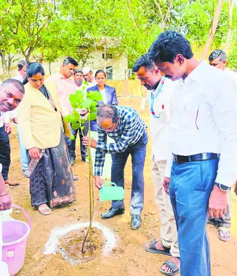 కోర్ట