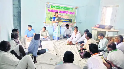 ఆయిల్‌ పామ్‌ సాగుతో లాభాలు 
