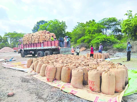 ధాన్య
