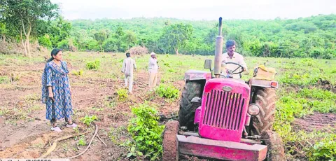అటవీ భూమి కబ్జాకు యత్నం 