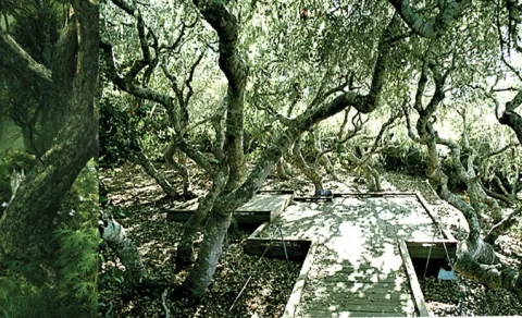Sanctuary of the World