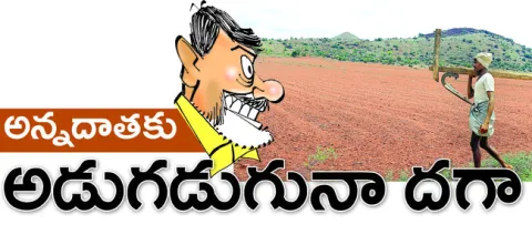 ఏడాది చంద్రబాబు జమానాలో ‘అనంత’ అన్నదాత అడుగడుగునా దగా ప