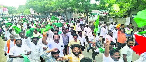 జొన్న