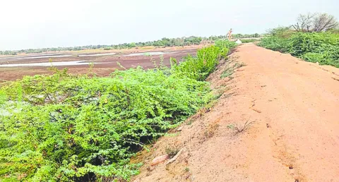 చెరువులపై నిర్లక్ష్యపు నీడ 
