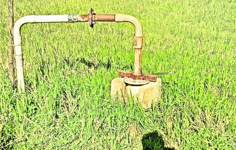 బోరు మోటార్‌ కేబుల్‌ చోరీ 
