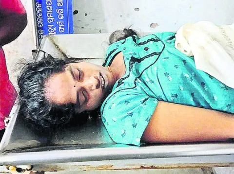 పాముక